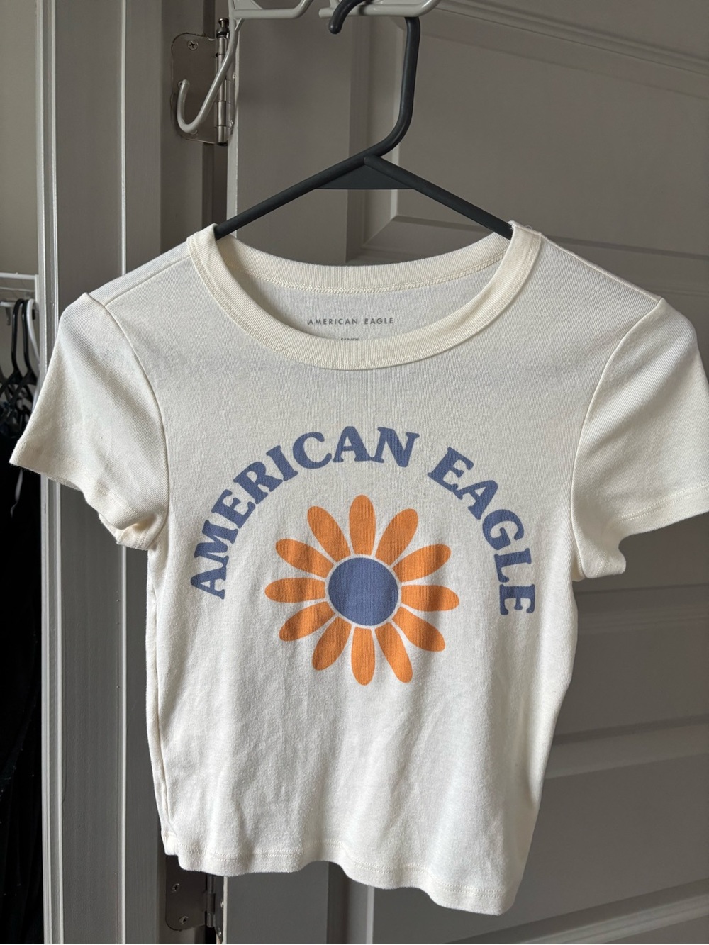 American Eagle Outfitters Cream Crop Top with Blue & Orange Daisy Graphic
